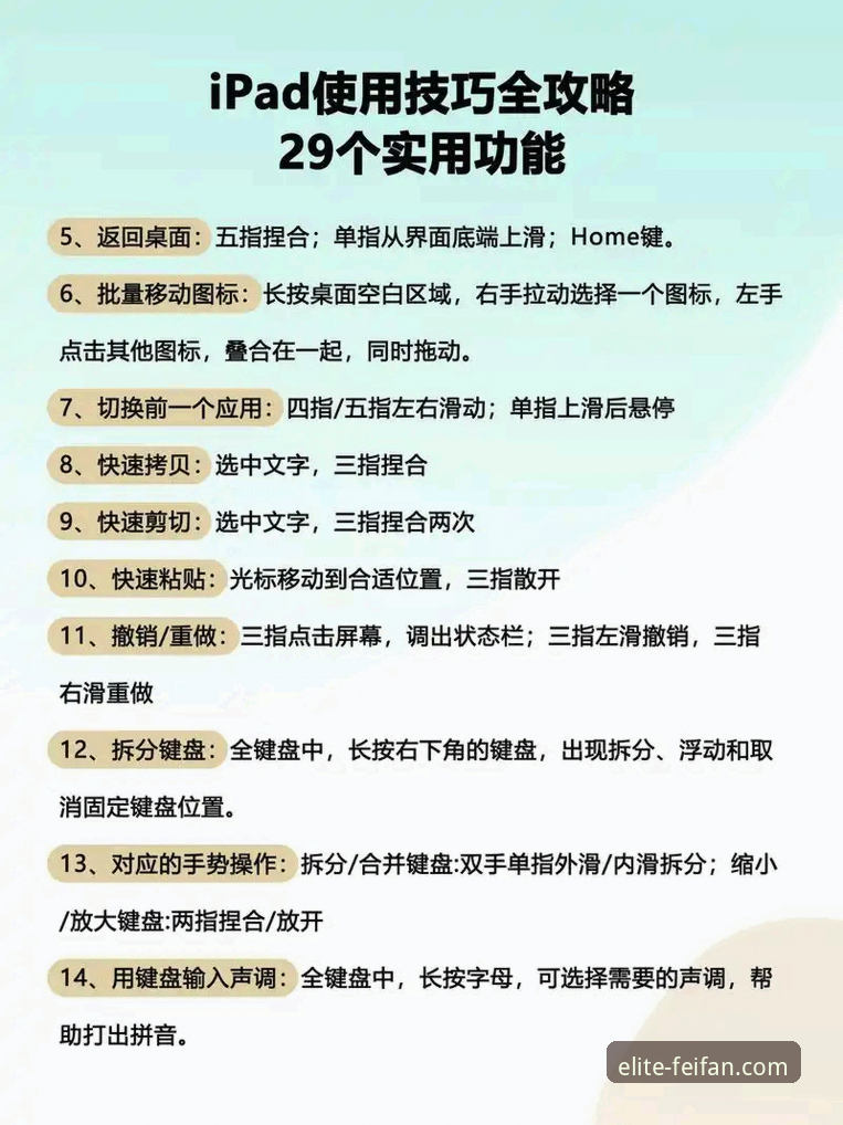 非凡体育流畅体验 非凡体育流畅体验入门教程——新手安装与使用全攻略