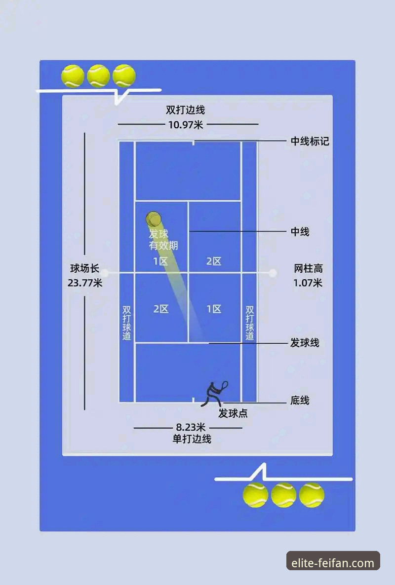 深度揭秘非凡体育体育娱乐2026最新版本：新手必备的完整操作指南